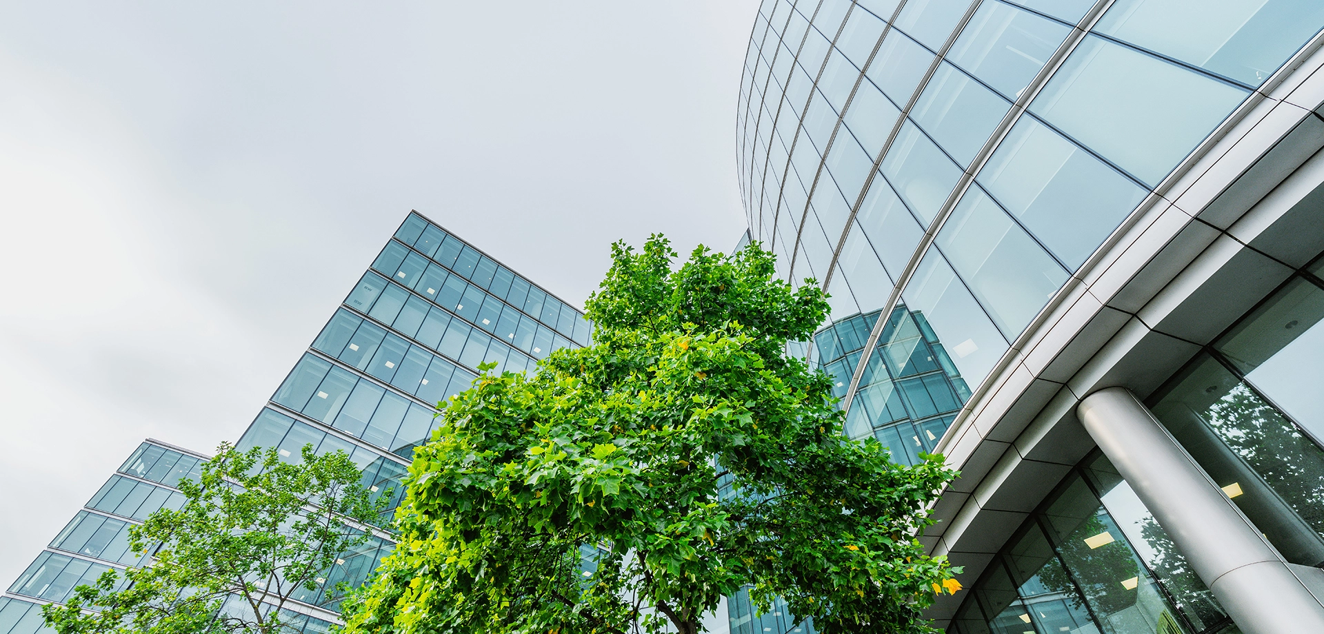 View of buildings and trees