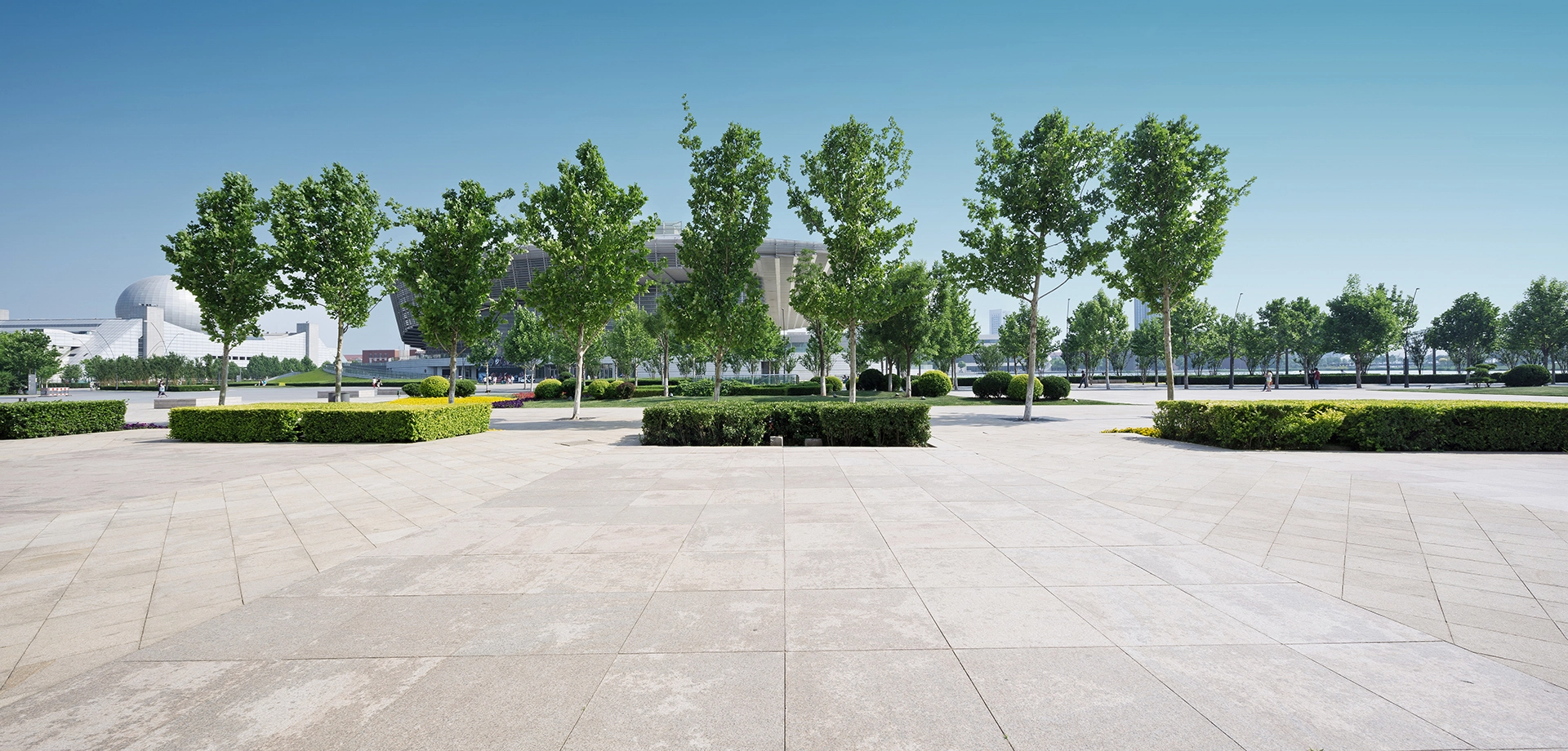 View of trees