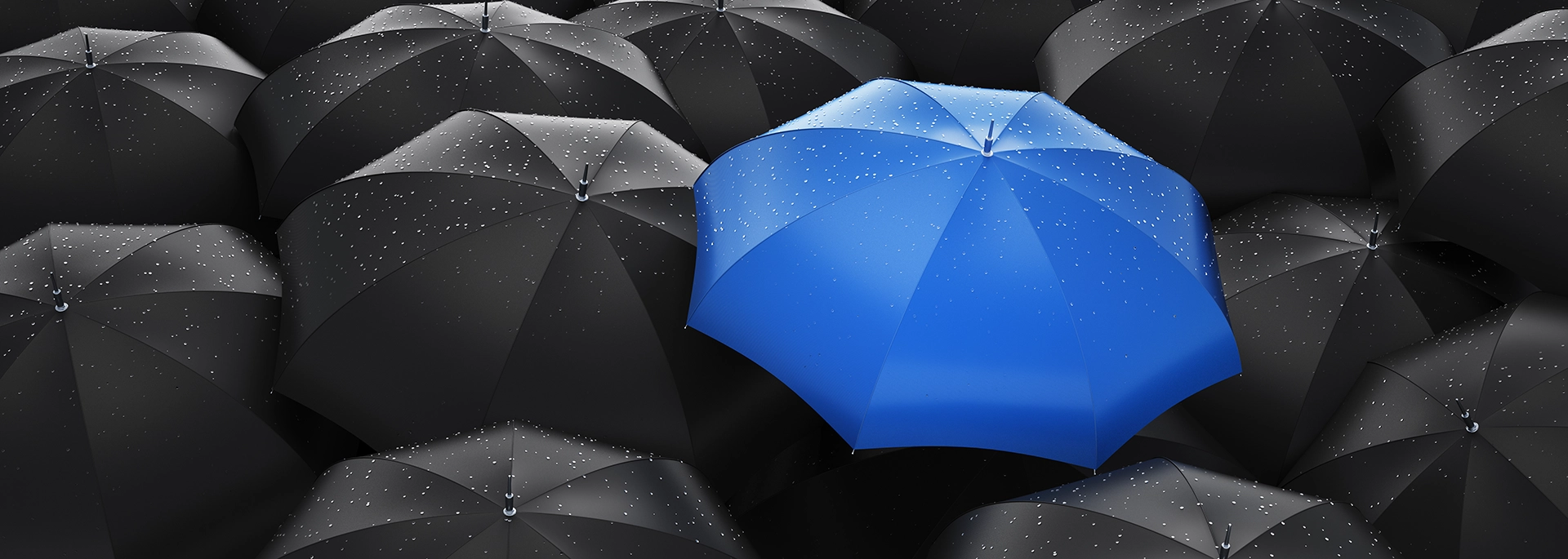 Bracewell Insurance Recovery practice banner image, which shows a blue umbrella among several black umbrellas.