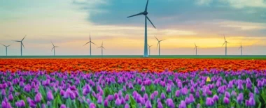 Media item displaying Natural Resources: Renewable Energy