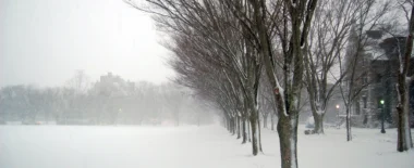 Winter Storm